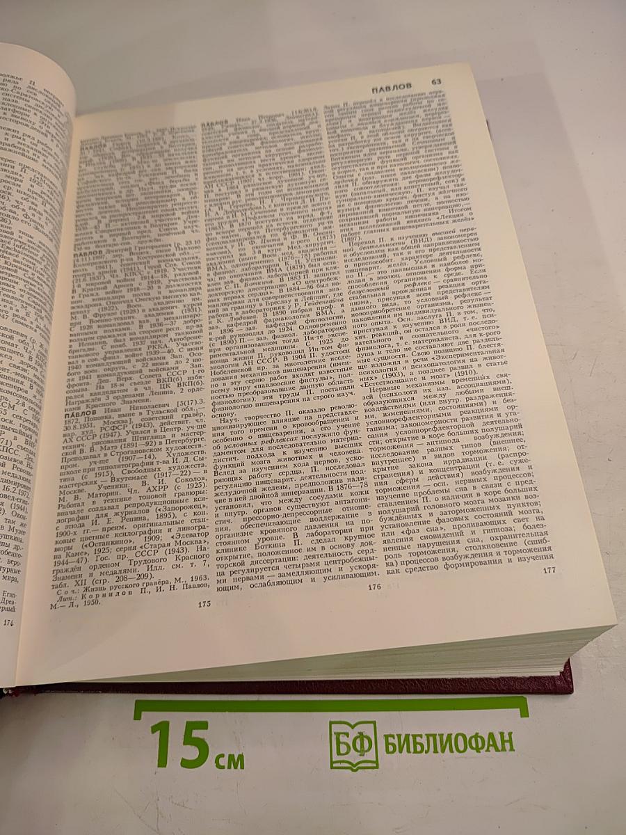 Большая Советская Энциклопедия. Том 19: ОТОМИ - ПЛАСТЫРЬ