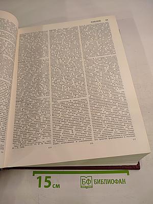 Большая Советская Энциклопедия. Том 19: ОТОМИ - ПЛАСТЫРЬ