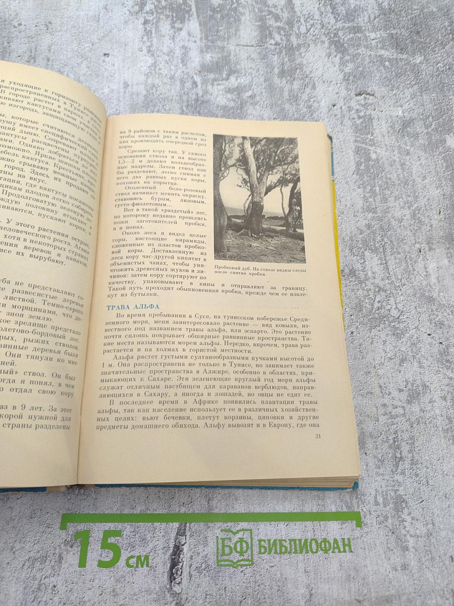 По материкам и странам