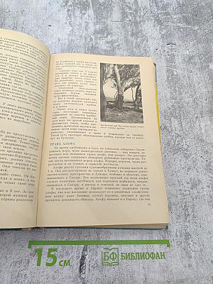 По материкам и странам