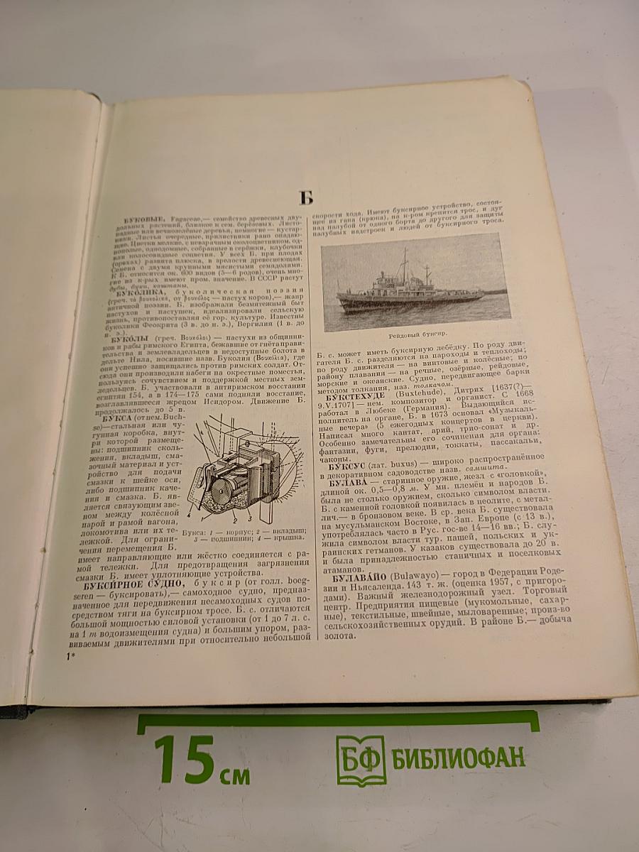 Малая Советская Энциклопедия, том 2: Буковые - Горняк