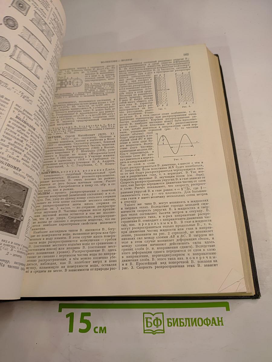 Малая Советская Энциклопедия, том 2: Буковые - Горняк