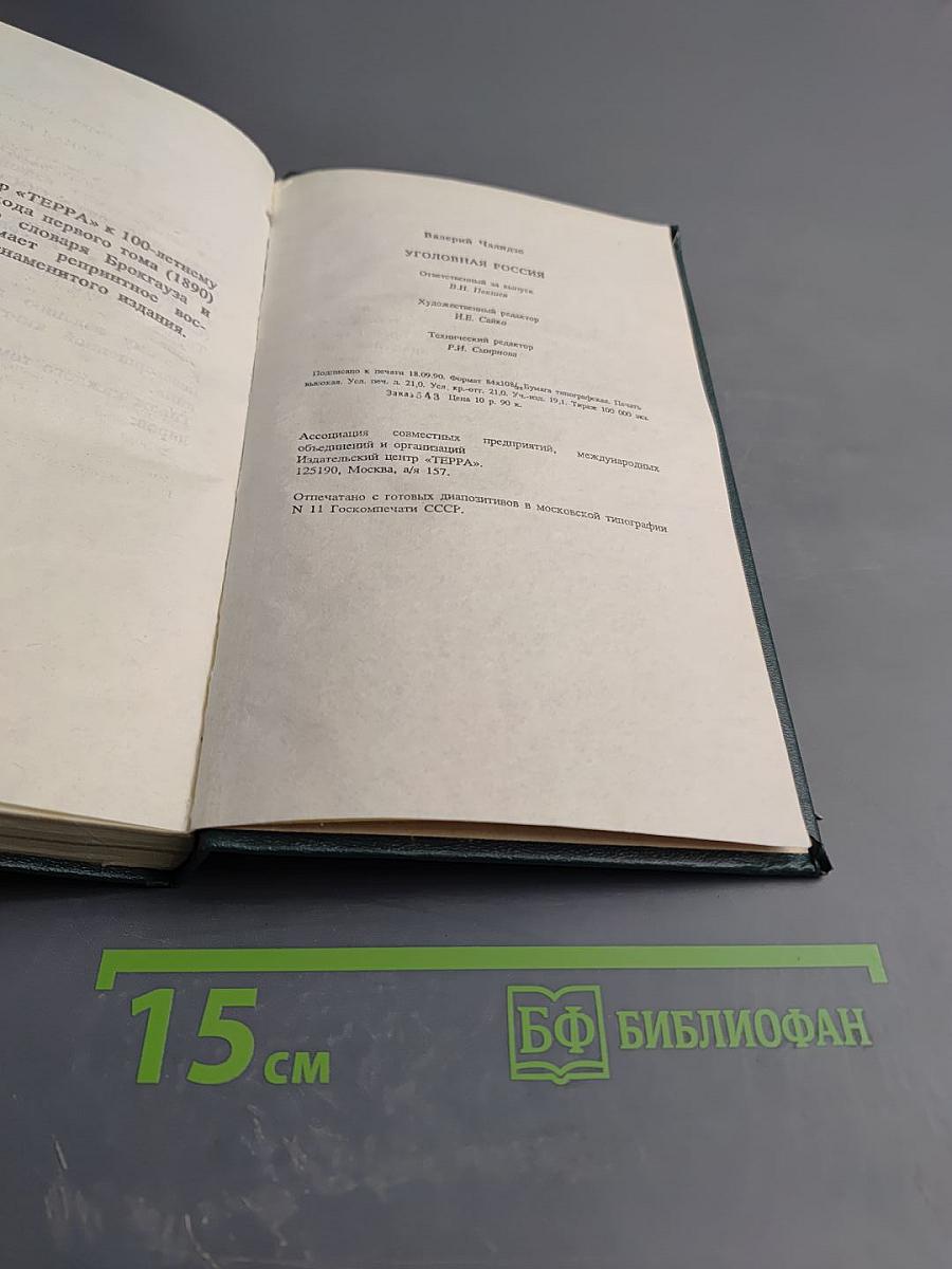 Уголовная Россия