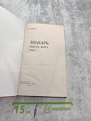 Знахарь. Месть вора