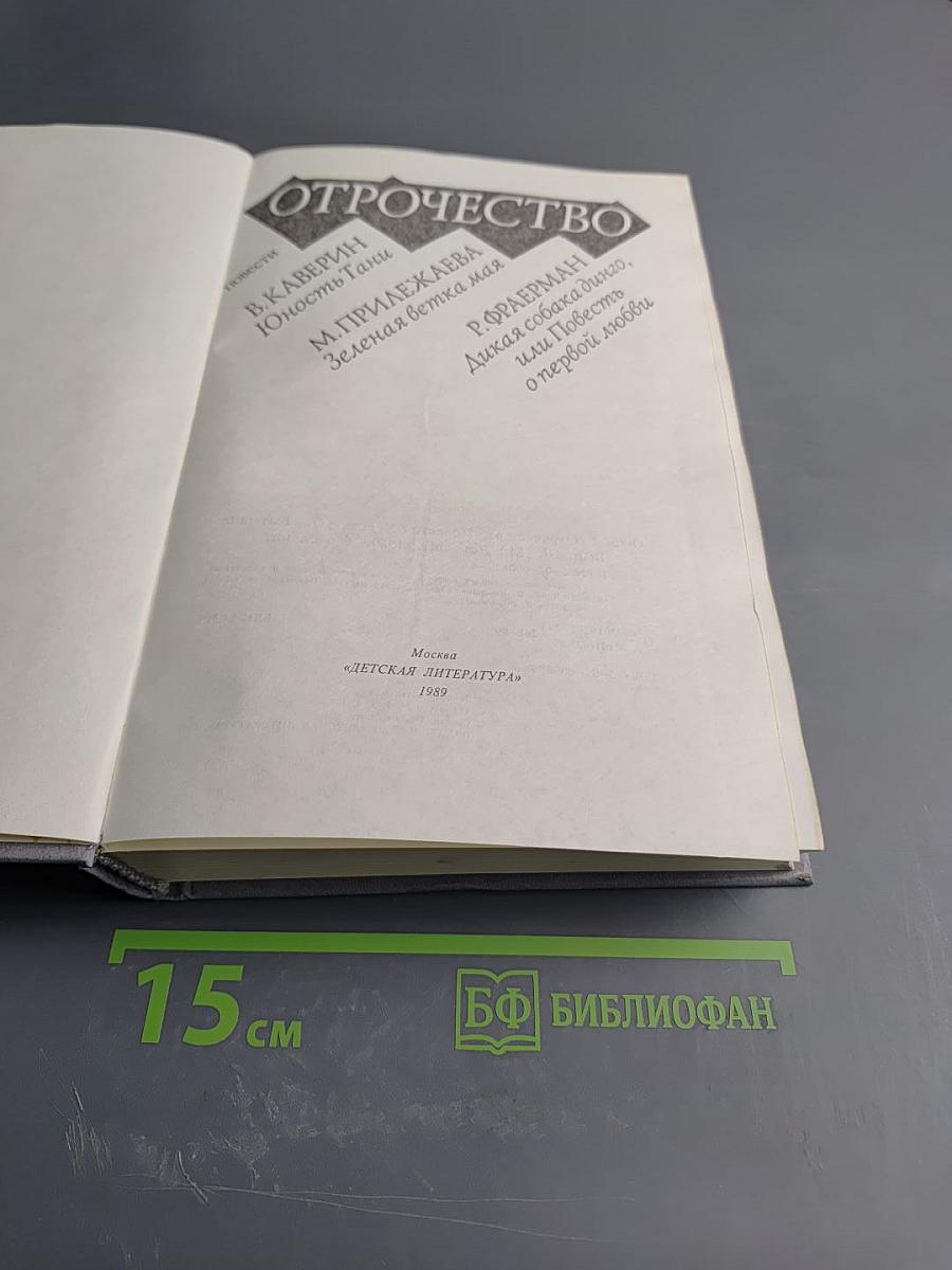 Отрочество