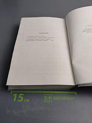 Отрочество