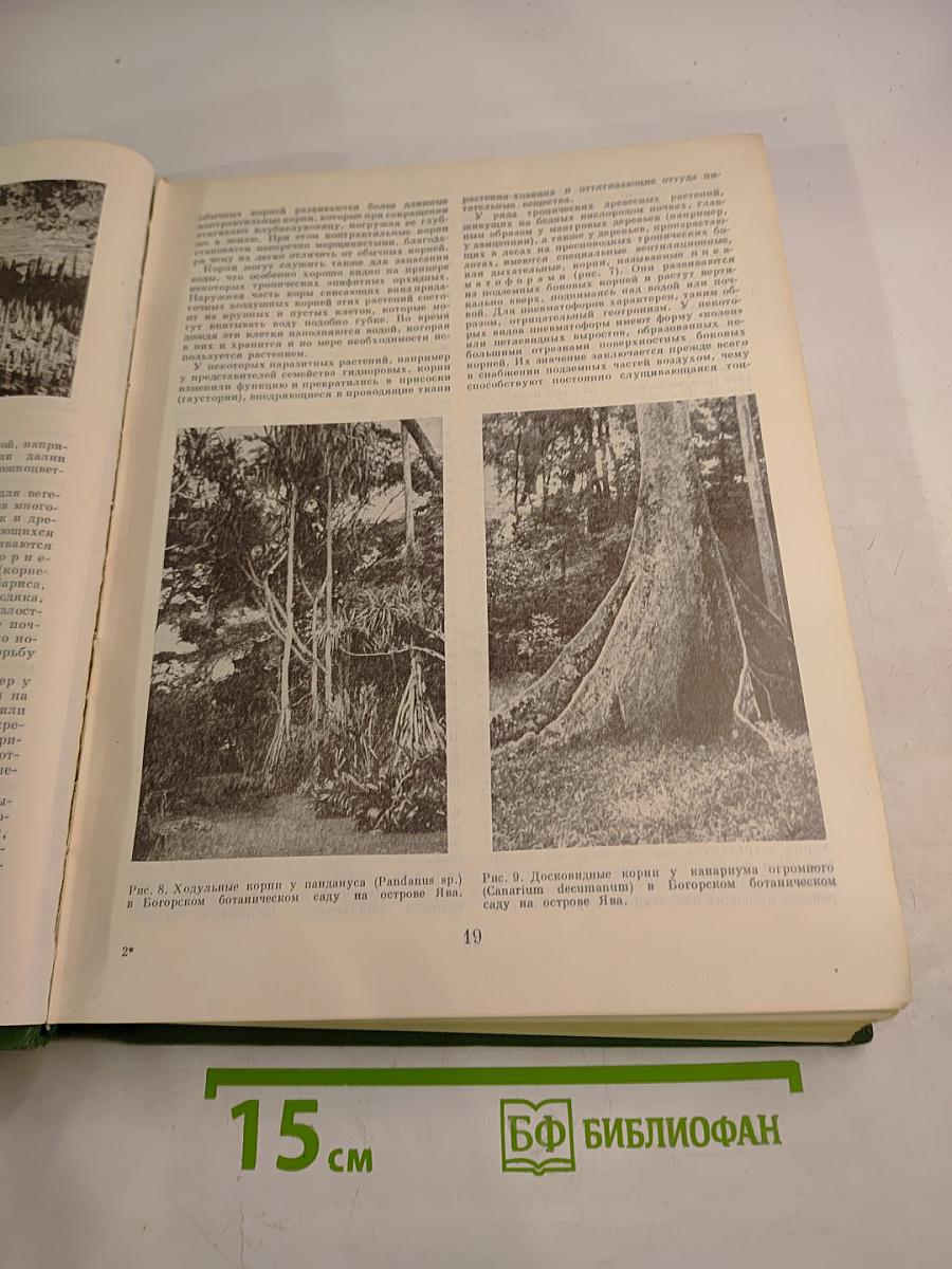 Жизнь растений. Том пятый. Часть первая. Цветковые растения