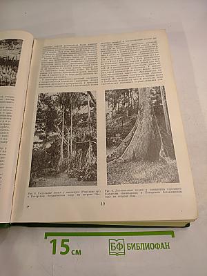 Жизнь растений. Том пятый. Часть первая. Цветковые растения