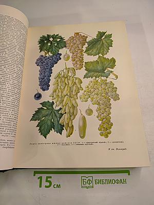 Большая Советская Энциклопедия, Том 8