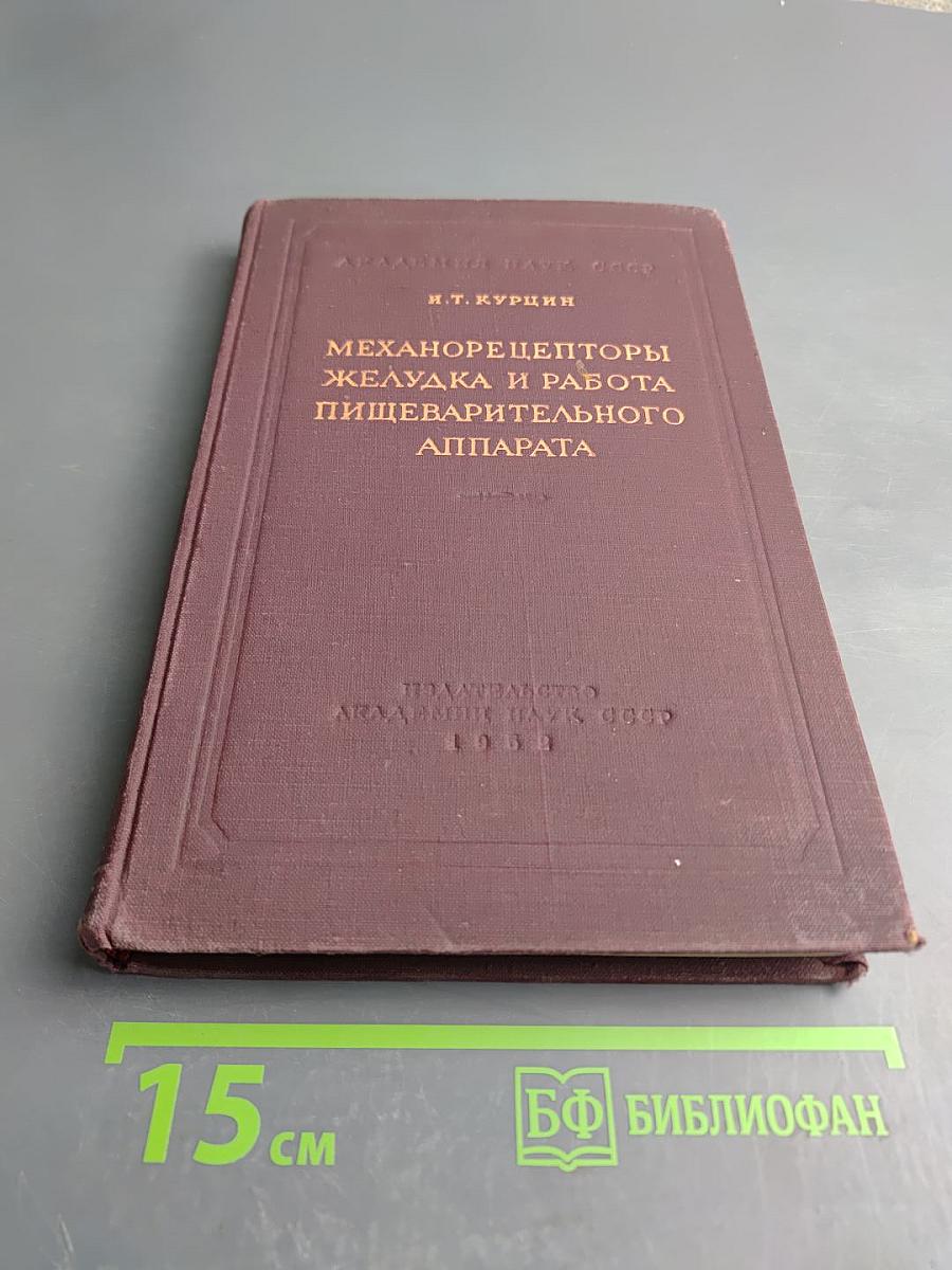 Механорецепторы желудка и работа пищеварительного аппарата