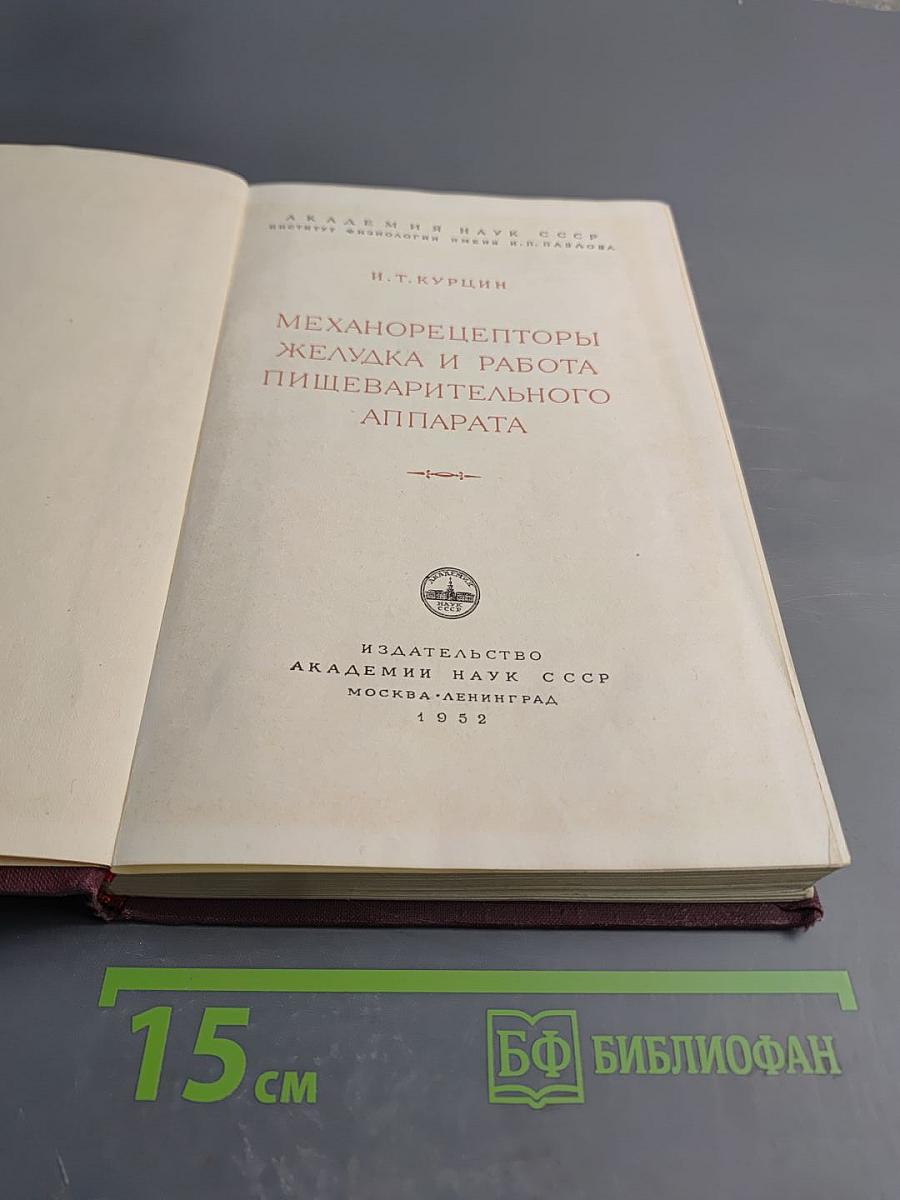 Механорецепторы желудка и работа пищеварительного аппарата