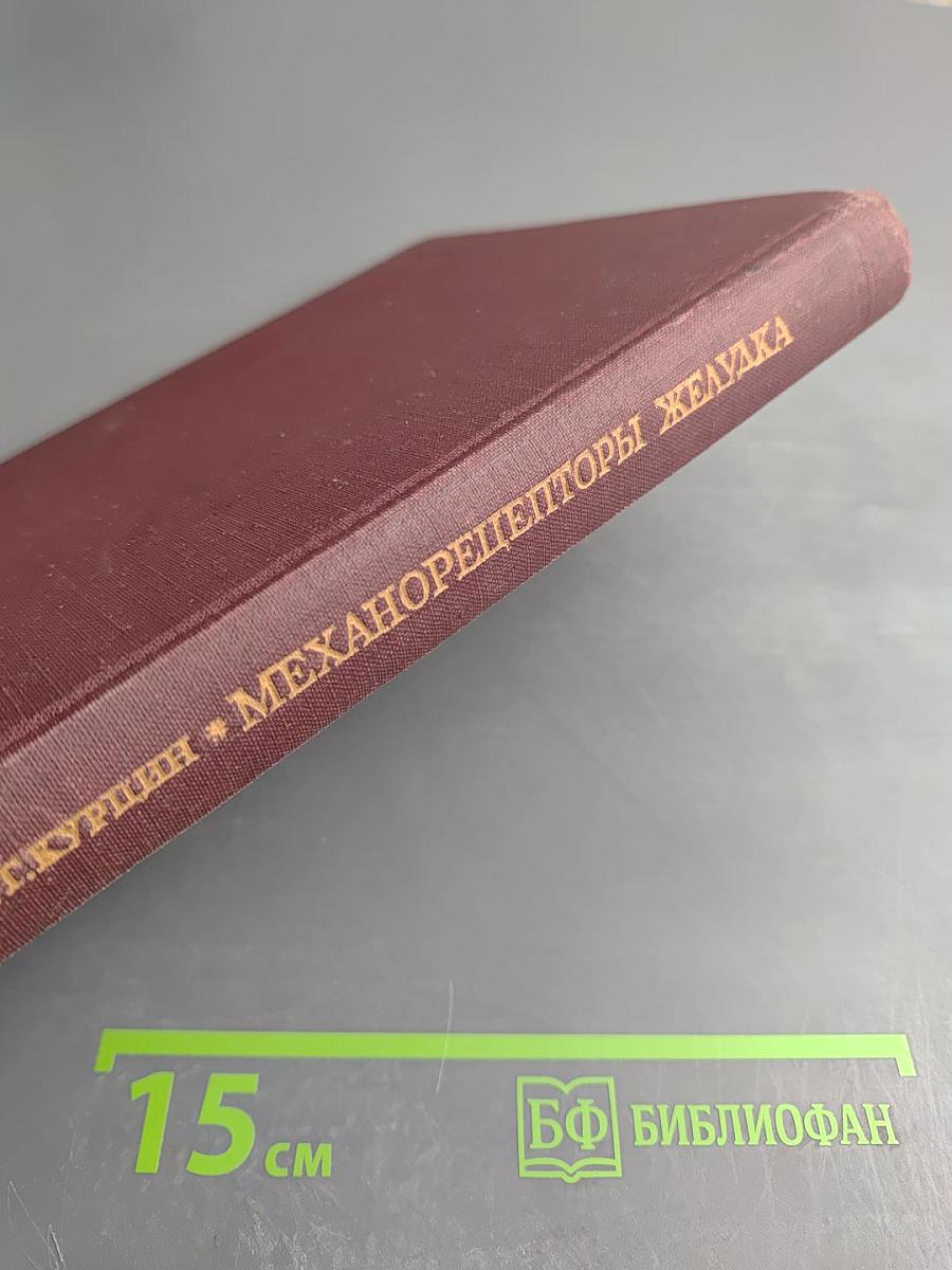 Механорецепторы желудка и работа пищеварительного аппарата