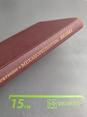 Механорецепторы желудка и работа пищеварительного аппарата