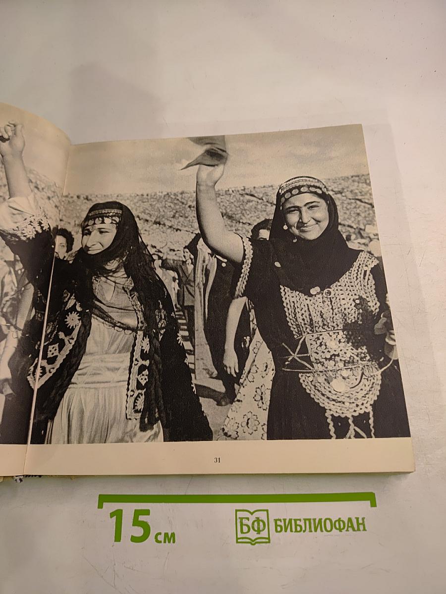 Фестиваль Молодости