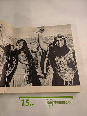 Фестиваль Молодости