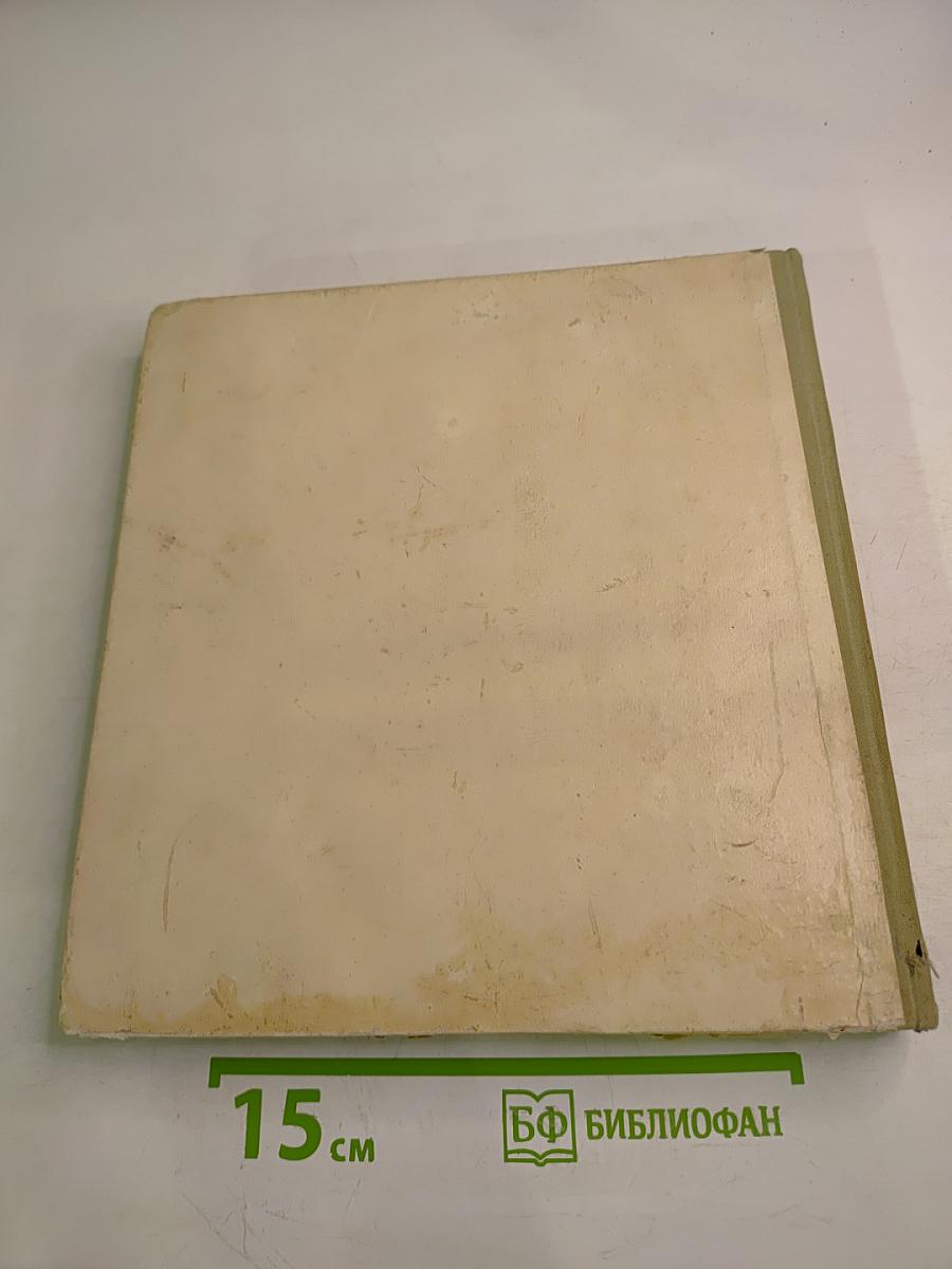 Фестиваль Молодости