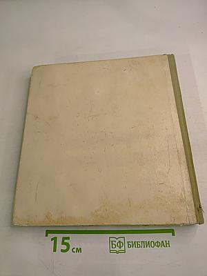 Фестиваль Молодости