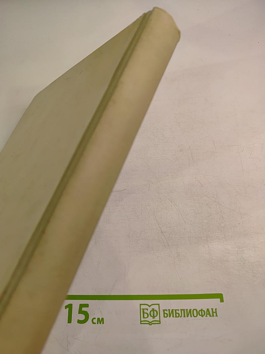 Фестиваль Молодости