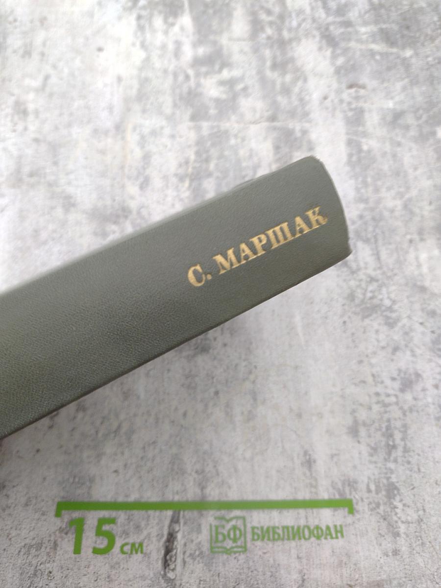 Собрание сочинений. Том восьмой. Избранные письма