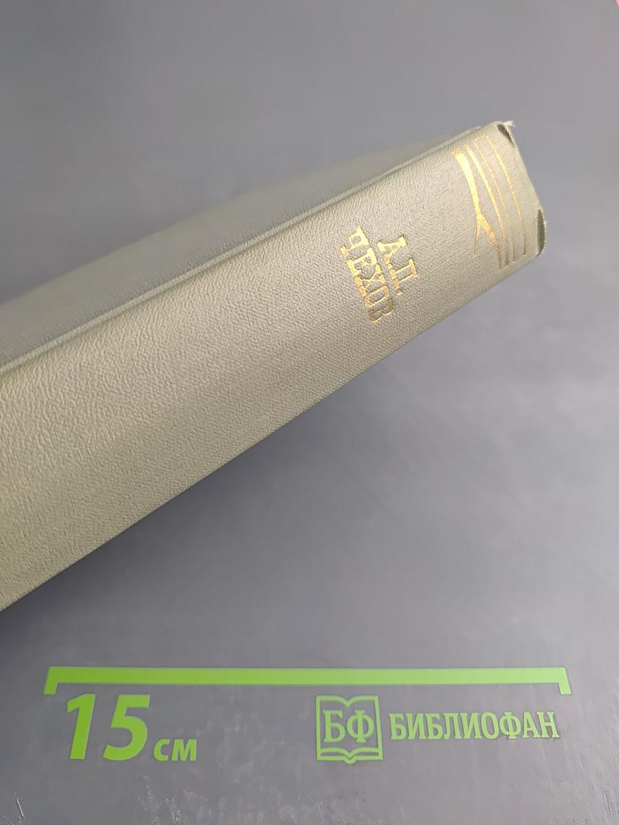 Собрание сочинений. Том четвертый: Рассказы 1886