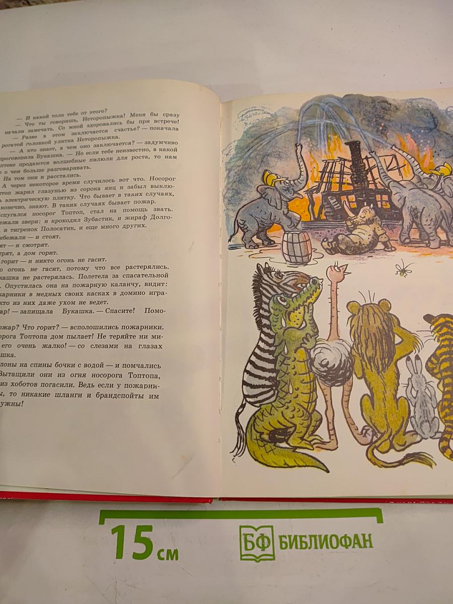 Солнышко на память