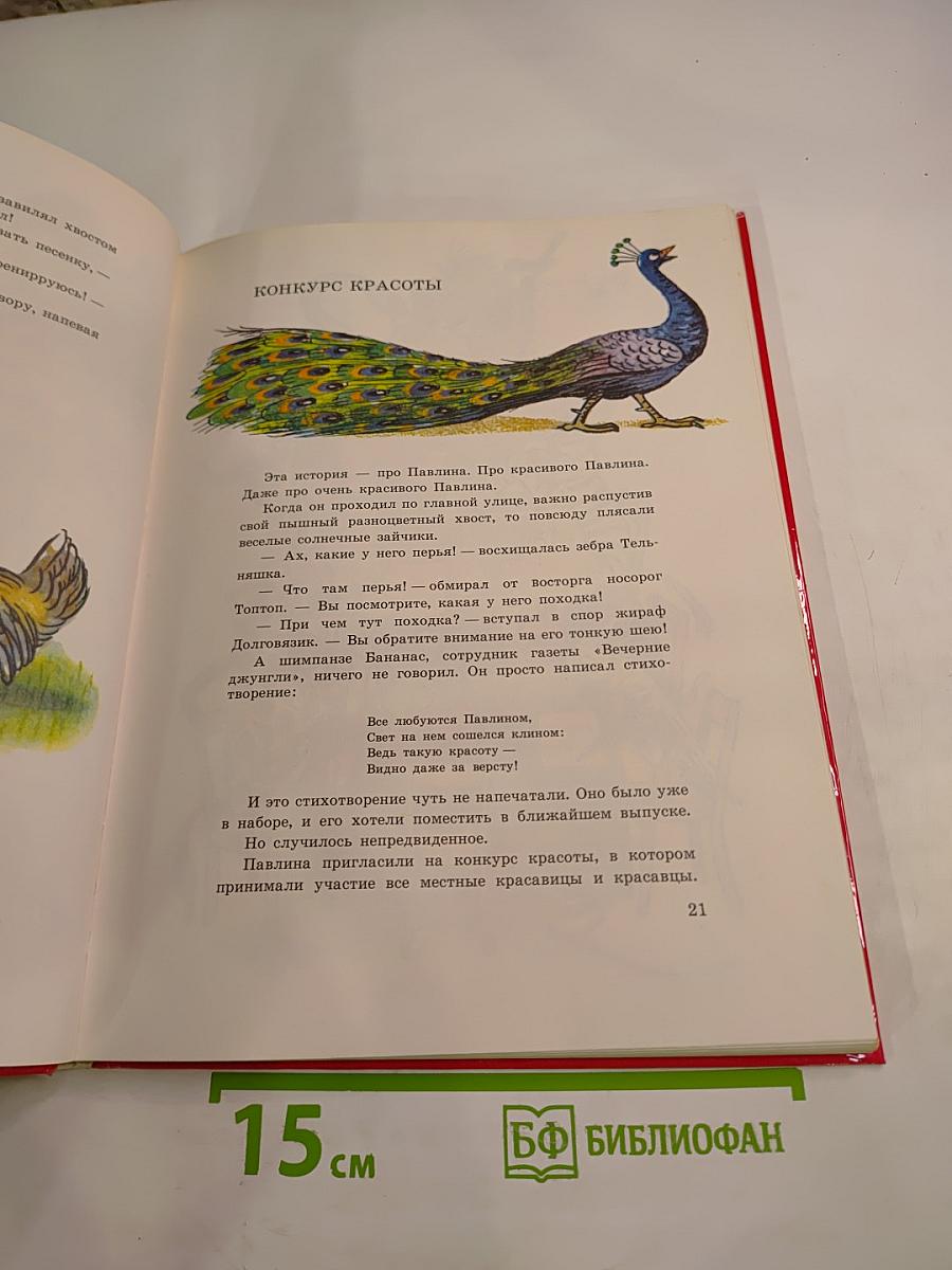 Солнышко на память