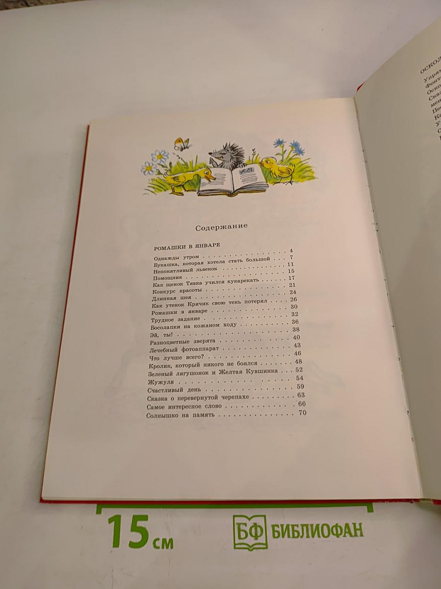 Солнышко на память