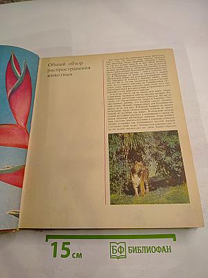 Животный мир Земли