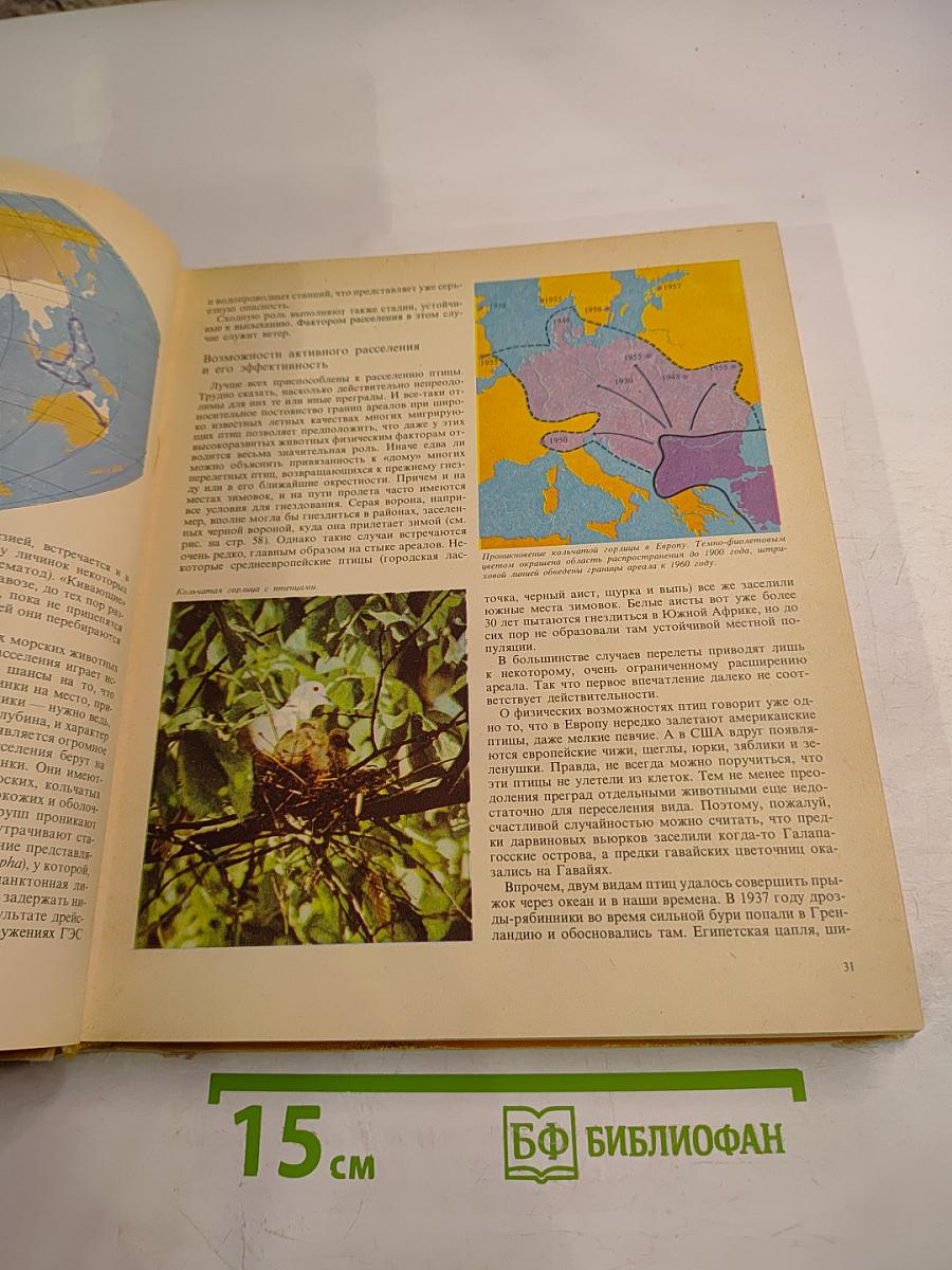 Животный мир Земли