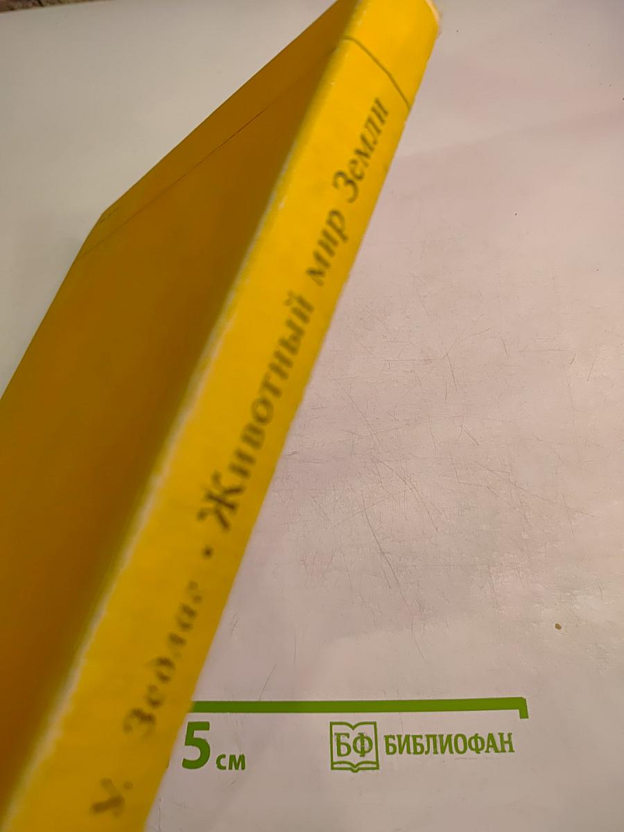 Животный мир Земли