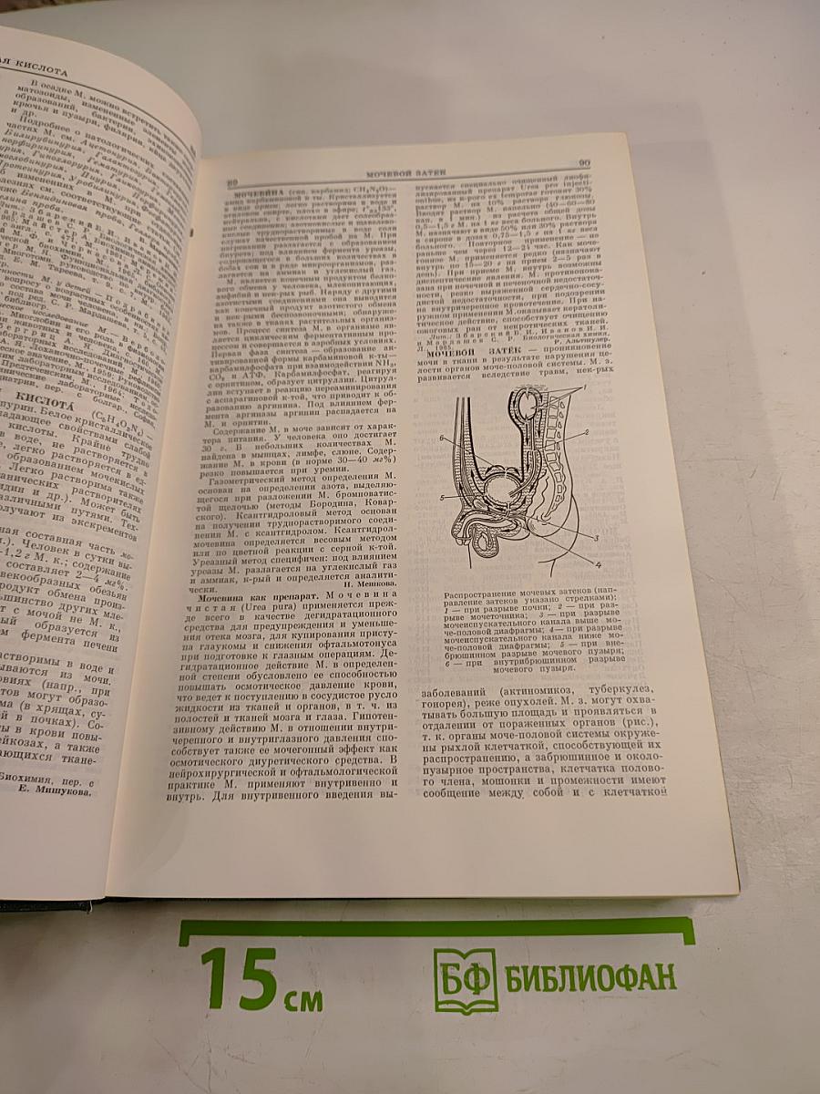 Малая медицинская энциклопедия. Том 6. Молокоотсос – Ототопика