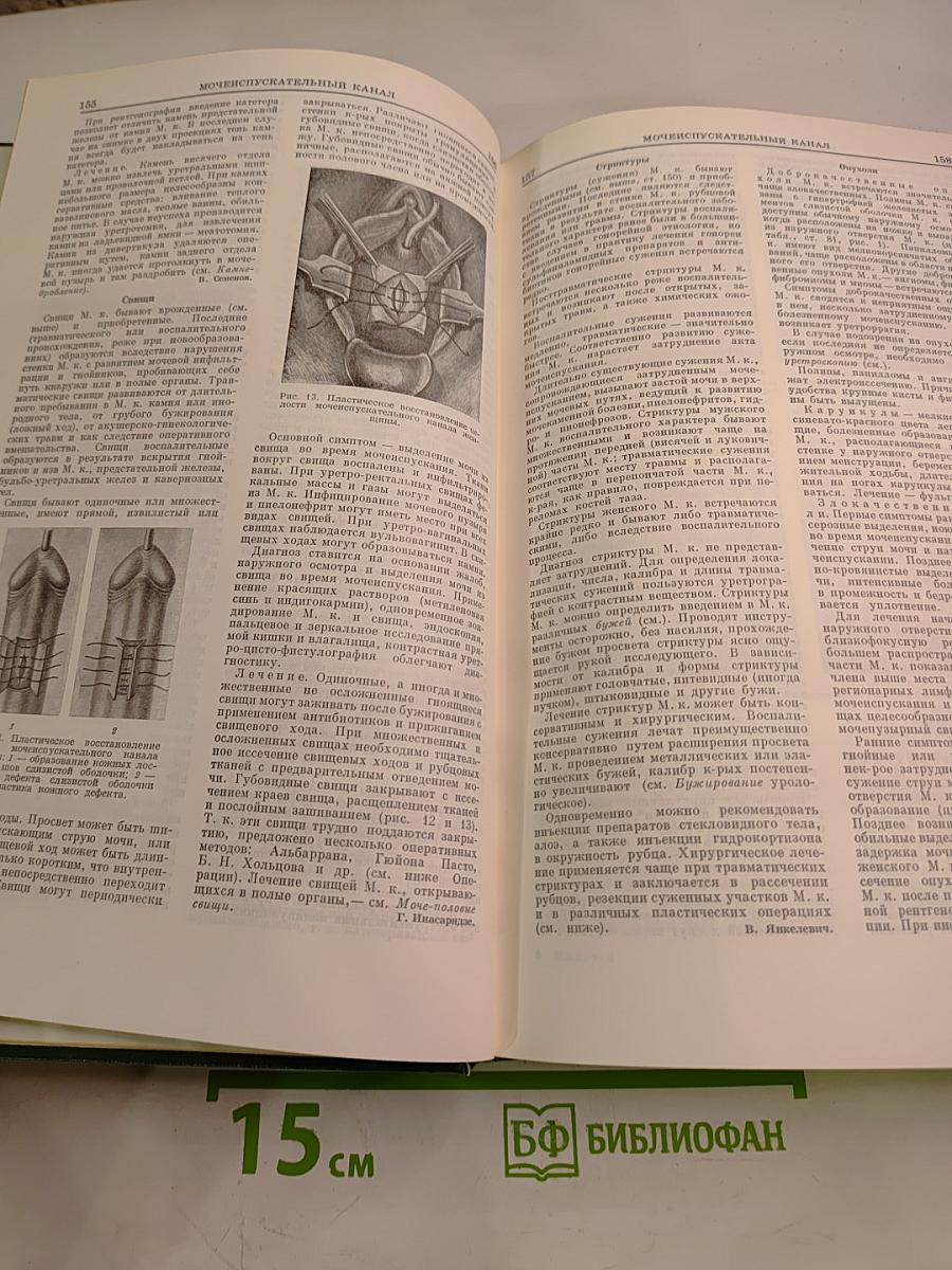 Малая медицинская энциклопедия. Том 6. Молокоотсос – Ототопика