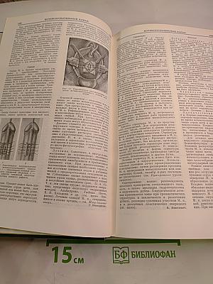 Малая медицинская энциклопедия. Том 6. Молокоотсос – Ототопика