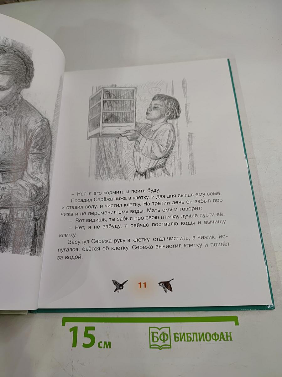 Первоклассные истории