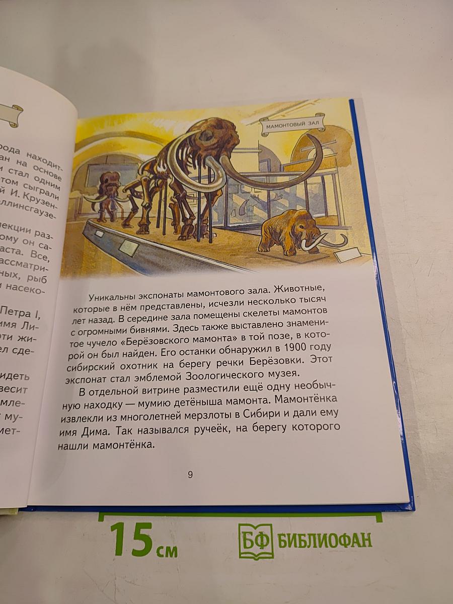 Санкт-Петербург детям о музеях