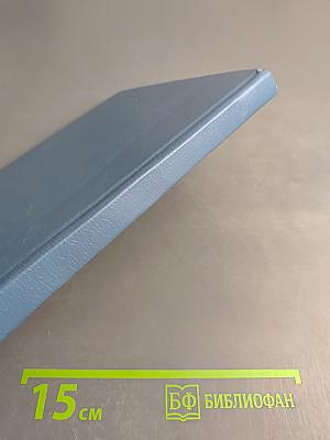 Достоевский в изображении своей дочери