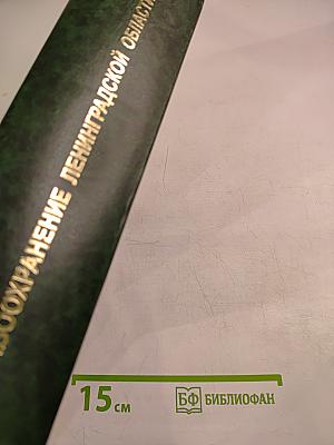 Здравоохранение Ленинградской области: Истоки, развитие, современность