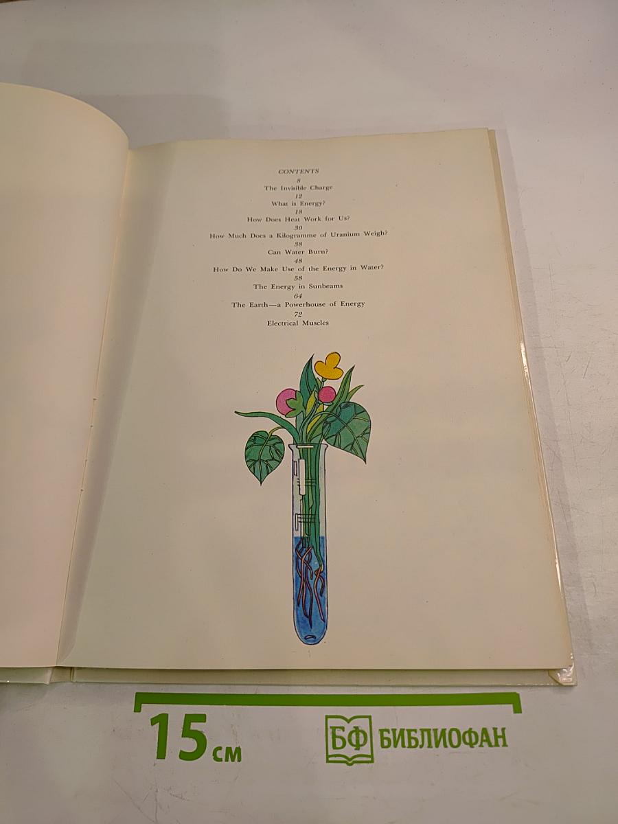 From the Bonfire to the Reactor