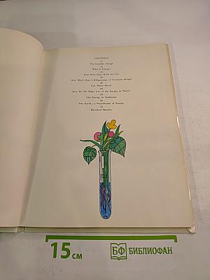 From the Bonfire to the Reactor