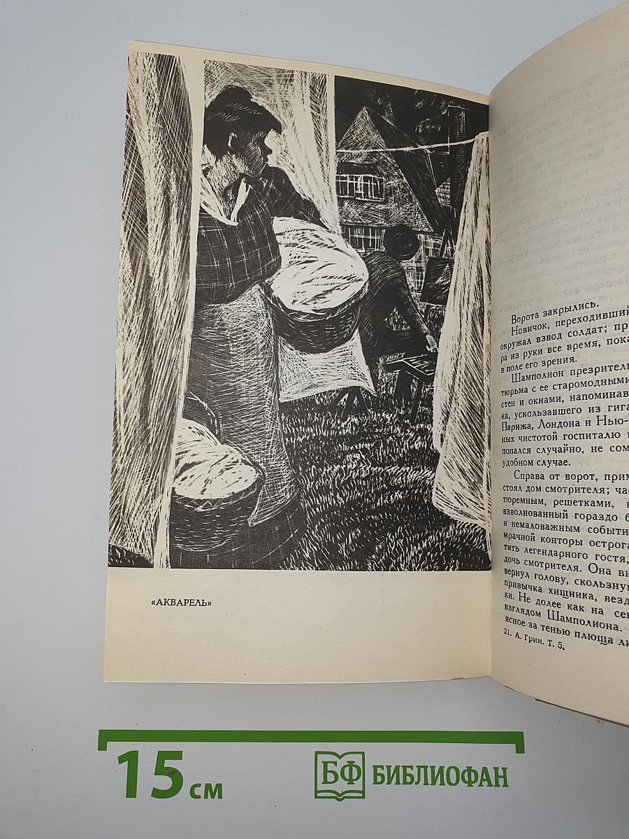 Собрание сочинений в шести томах. Том 5. Бегущая по волнам и рассказы