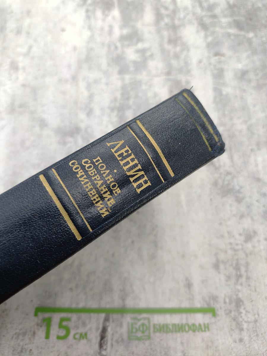 Полное собрание сочинений. Том 13: Май - сентябрь 1906