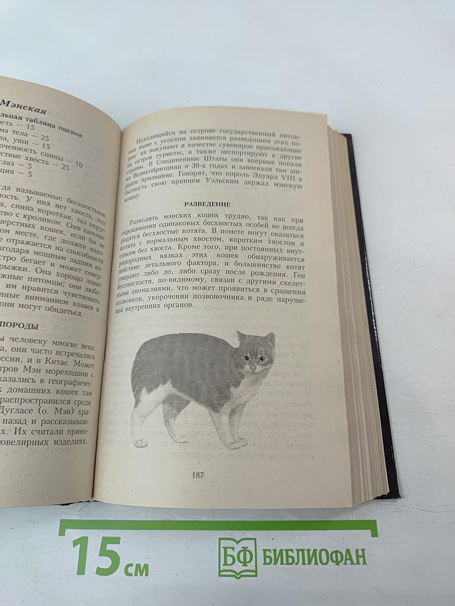 Энциклопедия Все о кошке