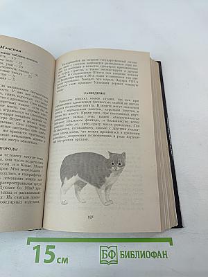 Энциклопедия Все о кошке