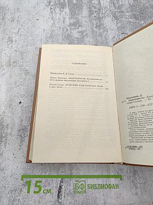 Авантюристы. Кудесник