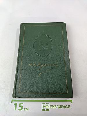 Собрание сочинений. Том 2. Рудин. Дворянское гнездо