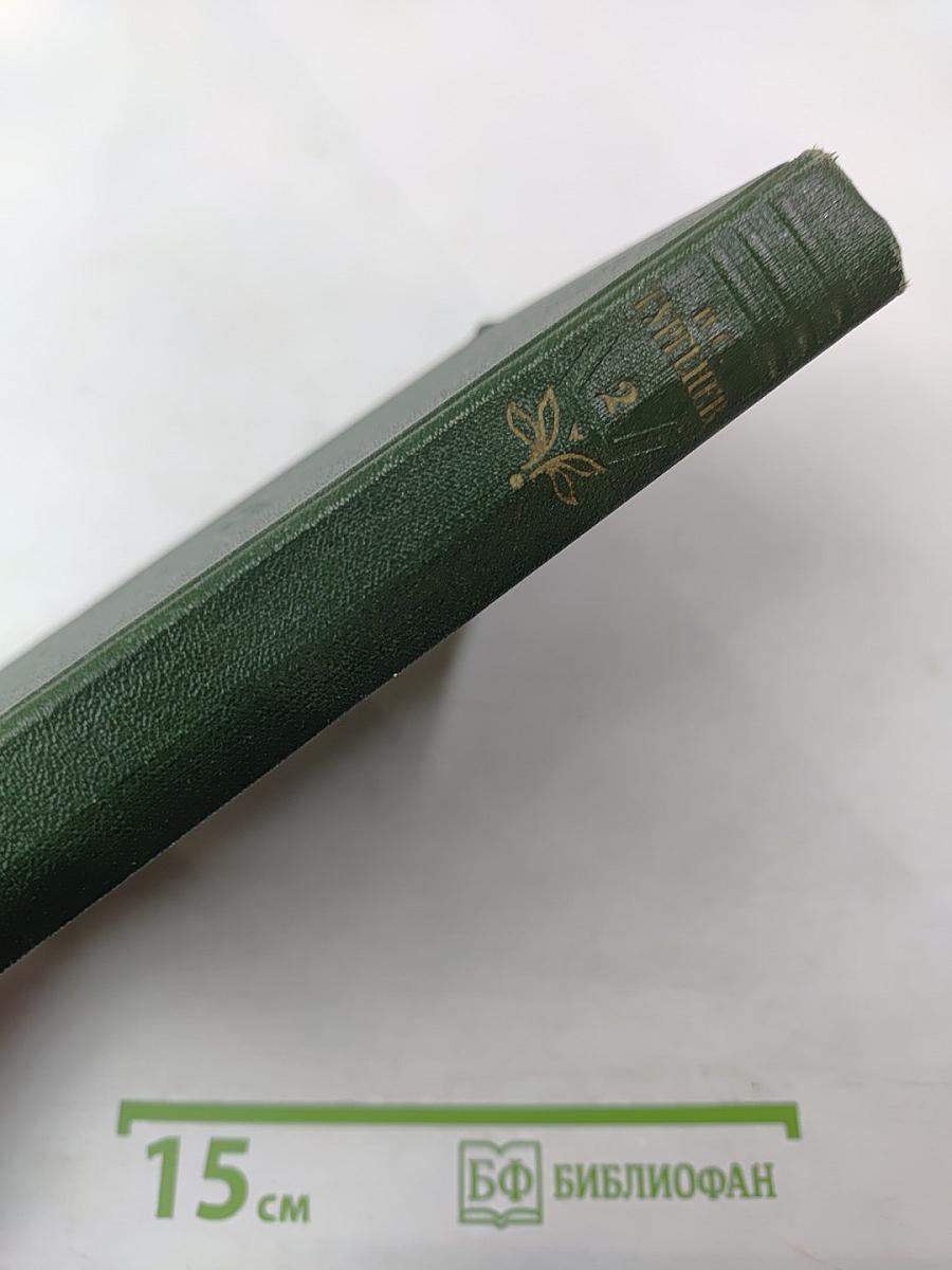 Собрание сочинений. Том 2. Рудин. Дворянское гнездо