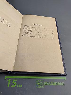 Слово и дело. Том I. Книга первая: Царица престрашного зраку