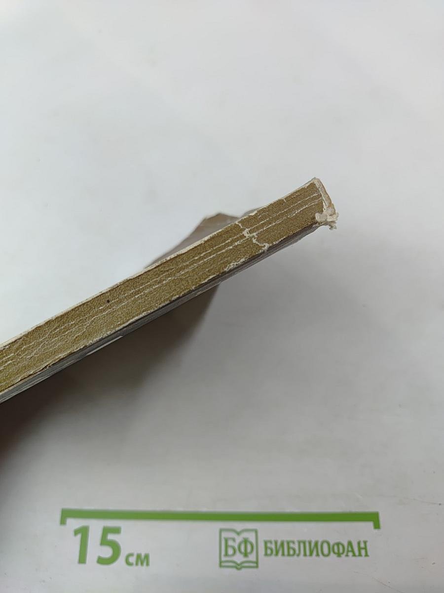 Книжный мир Ленинграда: Краткий справочник читателя