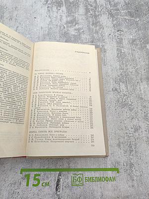 Огневой меч ленинграда