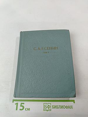 Собрание сочинений. Том V. Проза. Статьи и заметки. Автобиографии